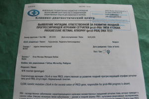 Расшифровка генетической тройки