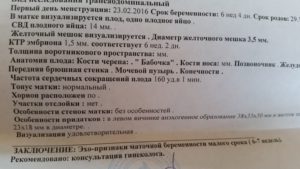 Срок по узи больше чем по месячным