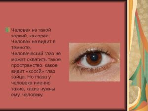 Не видит пол глаза