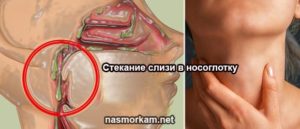 Зелёная неприятная на вкус слизь стекает по задней стенке горла