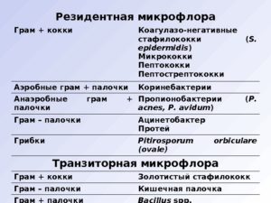 Стафилококк коагулазо-отрицательный