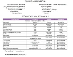 Анализ мочи положительный? Что будет?