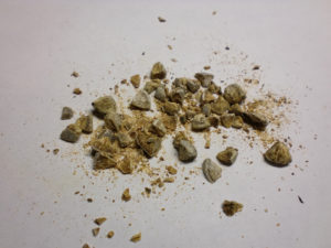 Песок в почках