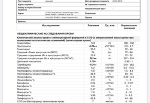 Повышены тромбоциты у ребенка