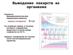 Период выведения лекарств