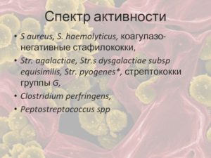 Стафилококк коагулазо-отрицательный