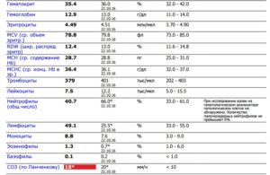 Понижены лейкоциты и нейтрофилы в общем анализе крови