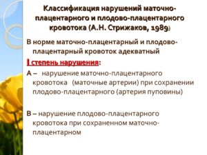 Нарушение фето плацентарного кровотока 1 а степени