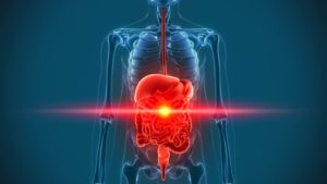 Болят все органы