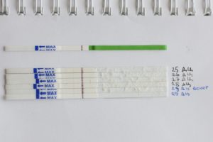 Задержка месячных, 37 день цикла