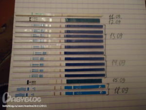 Задержка месячных 1 день и тянет низ живота