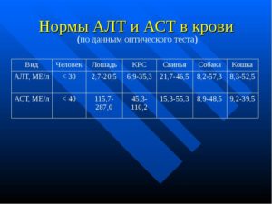 Показатели крови АЛТ АСТ