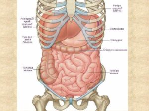 Болят все органы