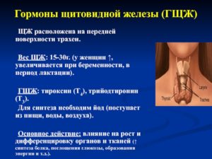 Беременность без щитовидной железы