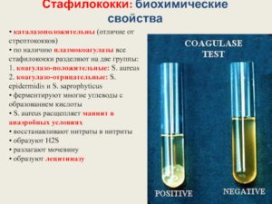 Стафилококк коагулазо-отрицательный