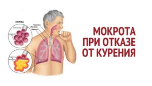 Бросил курить темная мокрота