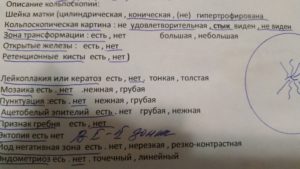 Расшифровка результата кольпоскопии онлайн