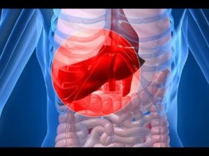 Болят все органы