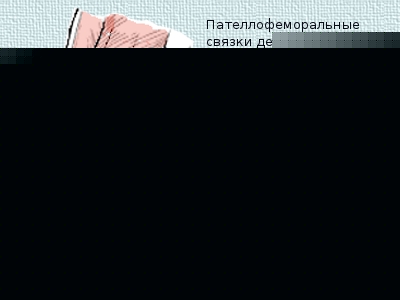 связка удерживающая коленную чашечку