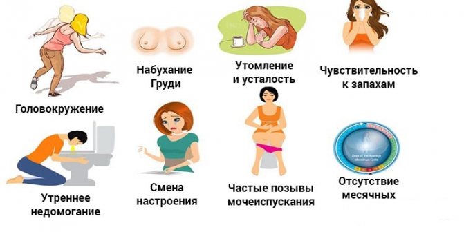 как отличить пмс от беременности