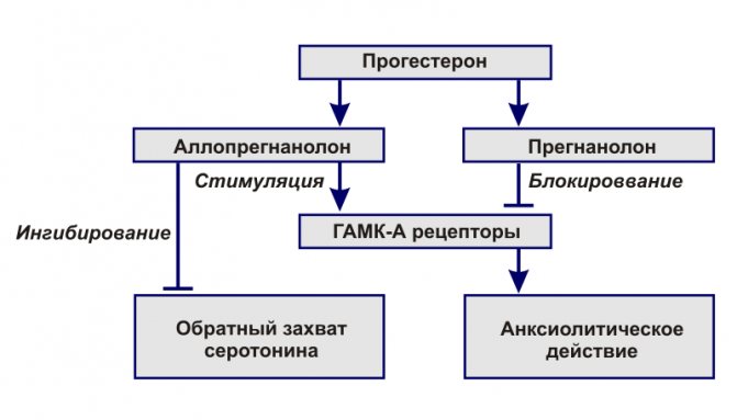 как отличить пмс от беременности