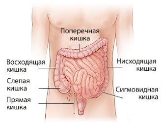 При комплексном лечении СРК важно правильно скорректировать питание ребенка.