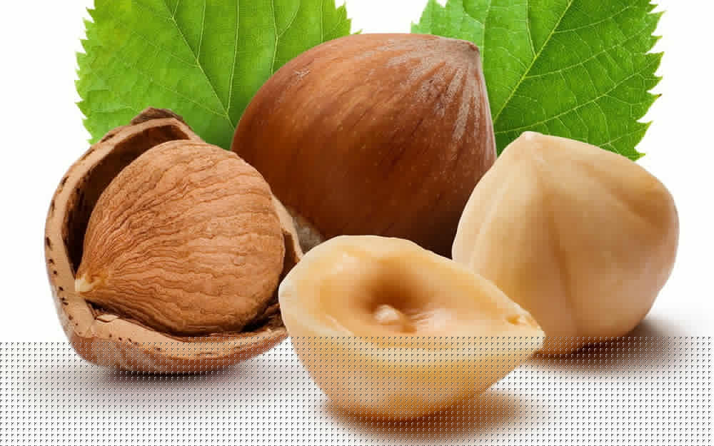 Лечение фундуком Лечение фундуком