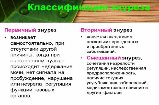 ночной энурез у мужчин классификация