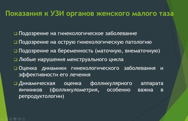 Нормальные показатели матки по узи